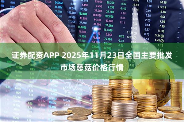 证券配资APP 2025年11月23日全国主要批发市场慈菇价格行情