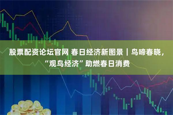 股票配资论坛官网 春日经济新图景｜鸟啼春晓，“观鸟经济”助燃春日消费