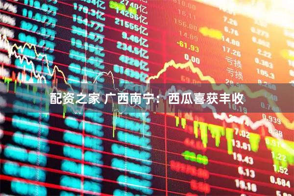 配资之家 广西南宁：西瓜喜获丰收